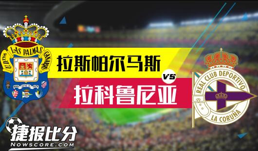 约基奇向来