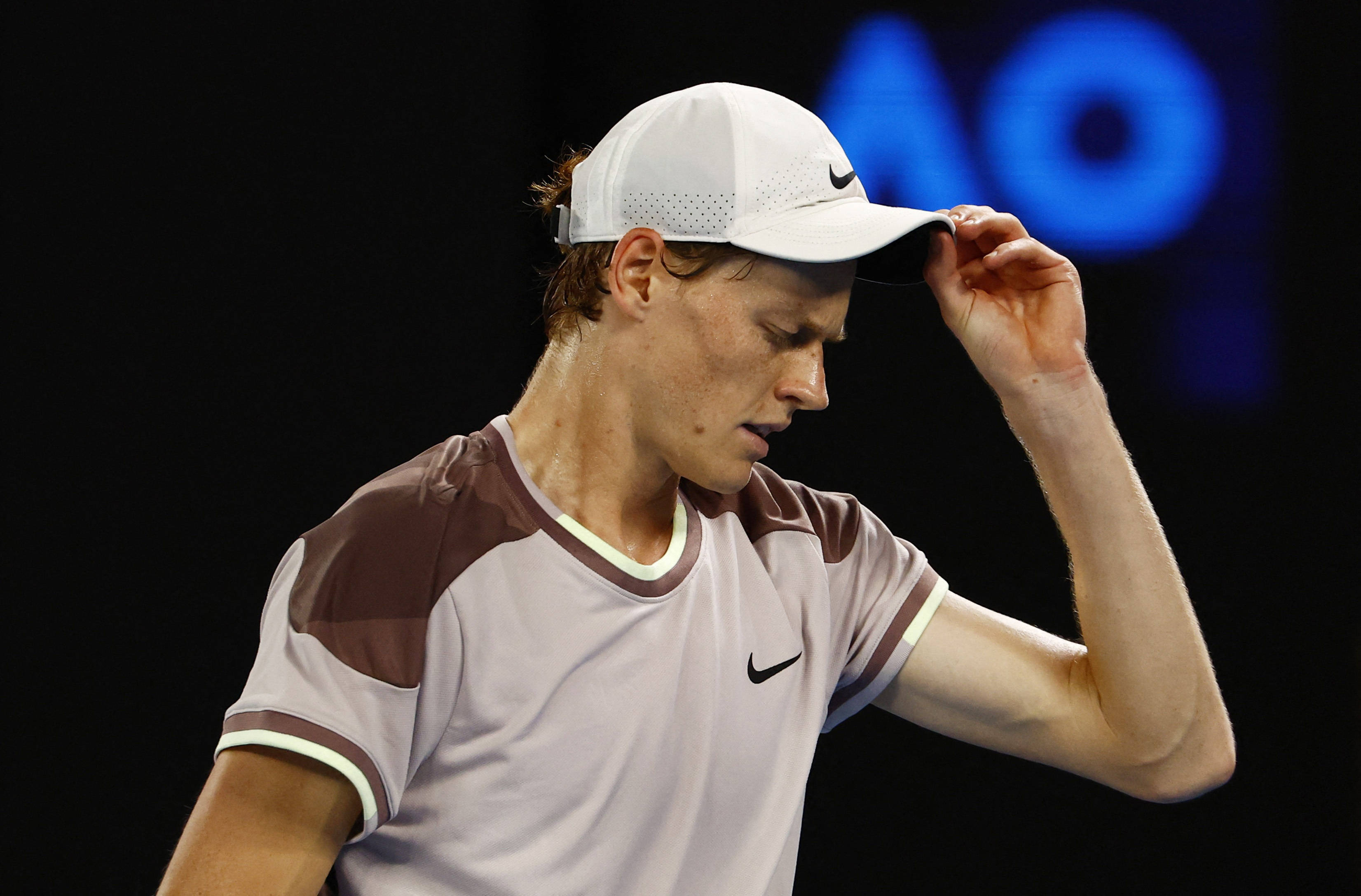 许多酒店纷 许多酒店纷